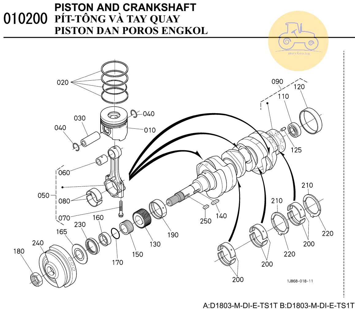 Pitton và trục khuỷu